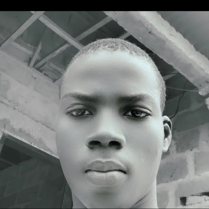 @official.majestic