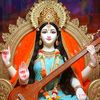 sima.shemi