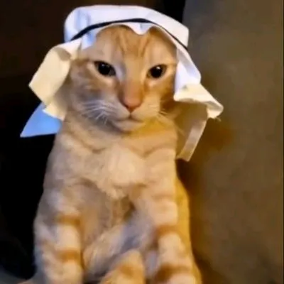 sinasuki.panda
