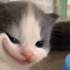 giabauwq7dm