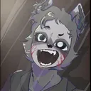 @avi_thecrazyraccoon