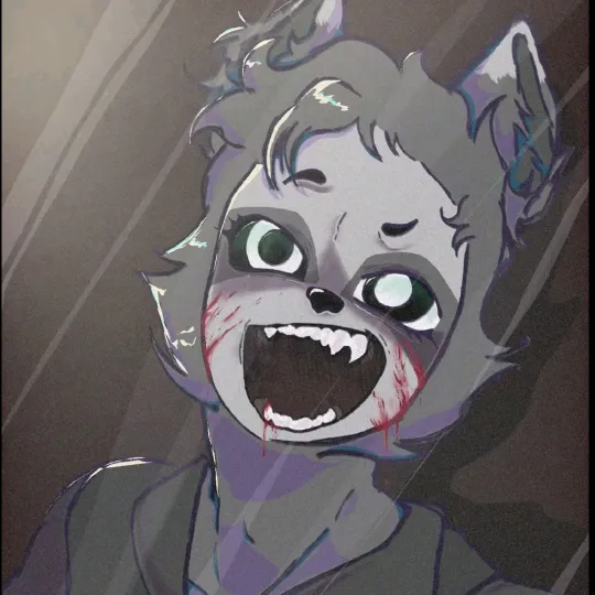 avi_thecrazyraccoon