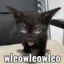 @y00uzv