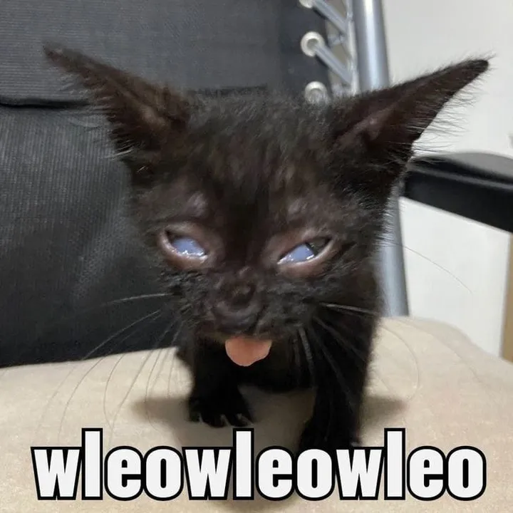 @y00uzv