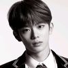 kangminbloom