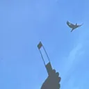 @fattaf_