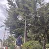 yesmilaguerravill