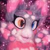 yunitty_official