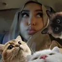 @hanaalsayedd