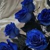 kanato_05150331