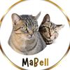 mallorycatgallery