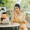 atintv2