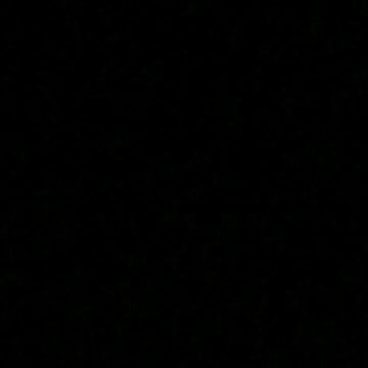 sxywvnt
