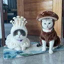 @me.and.cat32