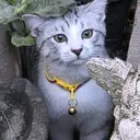 @narttawat.fn