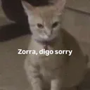 @carli_hijadepolly