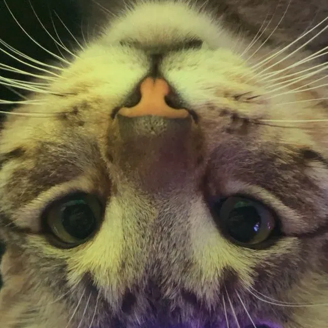 jjbogan