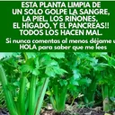 @todos.se.lo.debo
