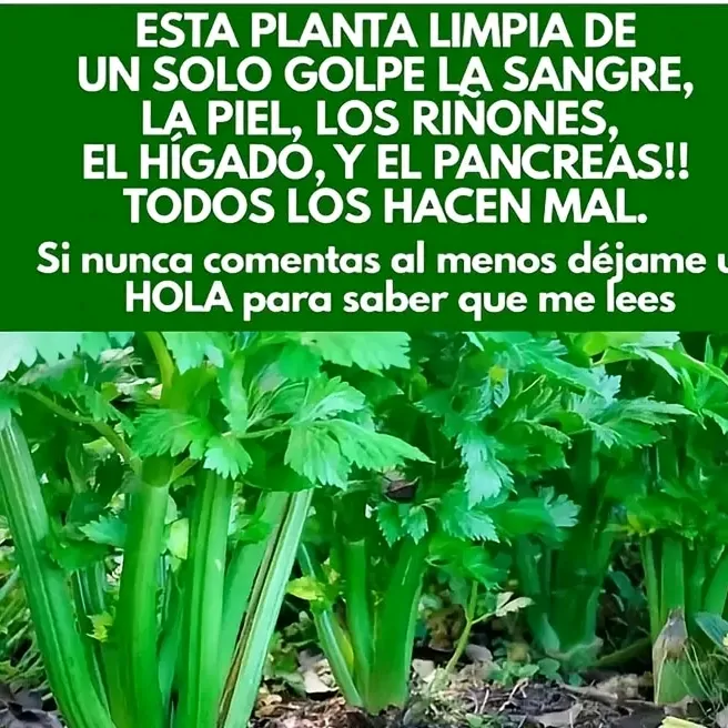 @todos.se.lo.debo