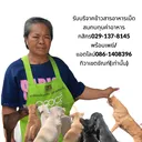 @pameowthiwa888