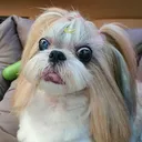 @beauty_queen0095