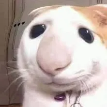 @hrbd56