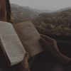 books.280
