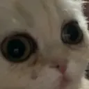 @eto.vse.twitch