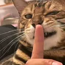 @jun_____13
