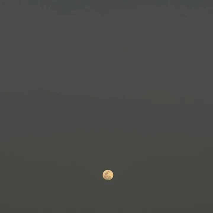 @tea95ch