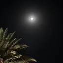 @e_mad13