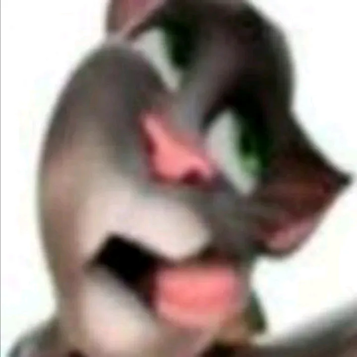 @thediddydestroyer1