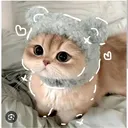 @likhh5
