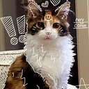 @pawprntz1