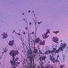 your_favourite_ex