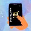 havvey_official_finds