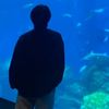 haru001100