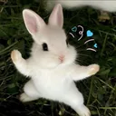@odaycodoxinh_koc