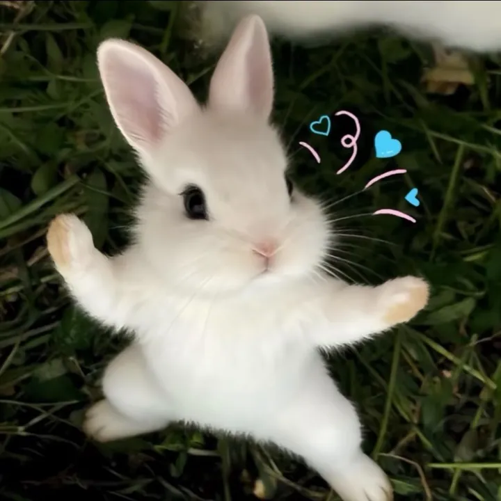 @odaycodoxinh_koc