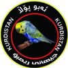 rabar1601