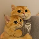@mochadanmochi