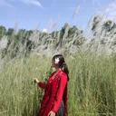@arpitaaarbi10