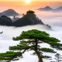 @long1689988