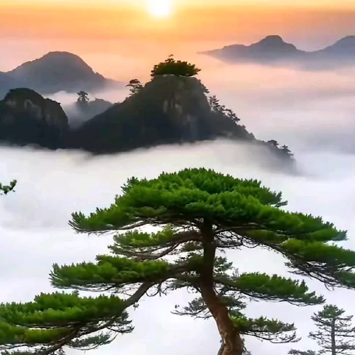 @long1689988