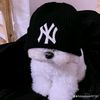 chris.sanluis