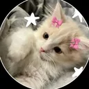 @choudhary_361