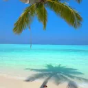 @central.playa