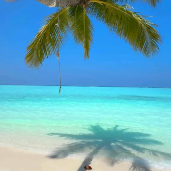central.playa