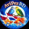 avipezrd