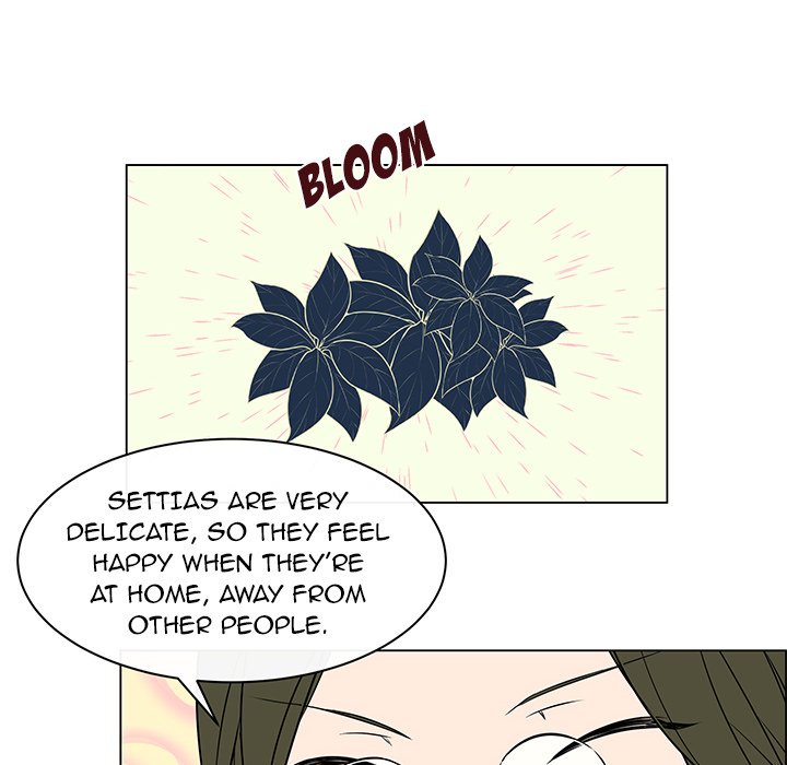 Settia - episode 17 - 21